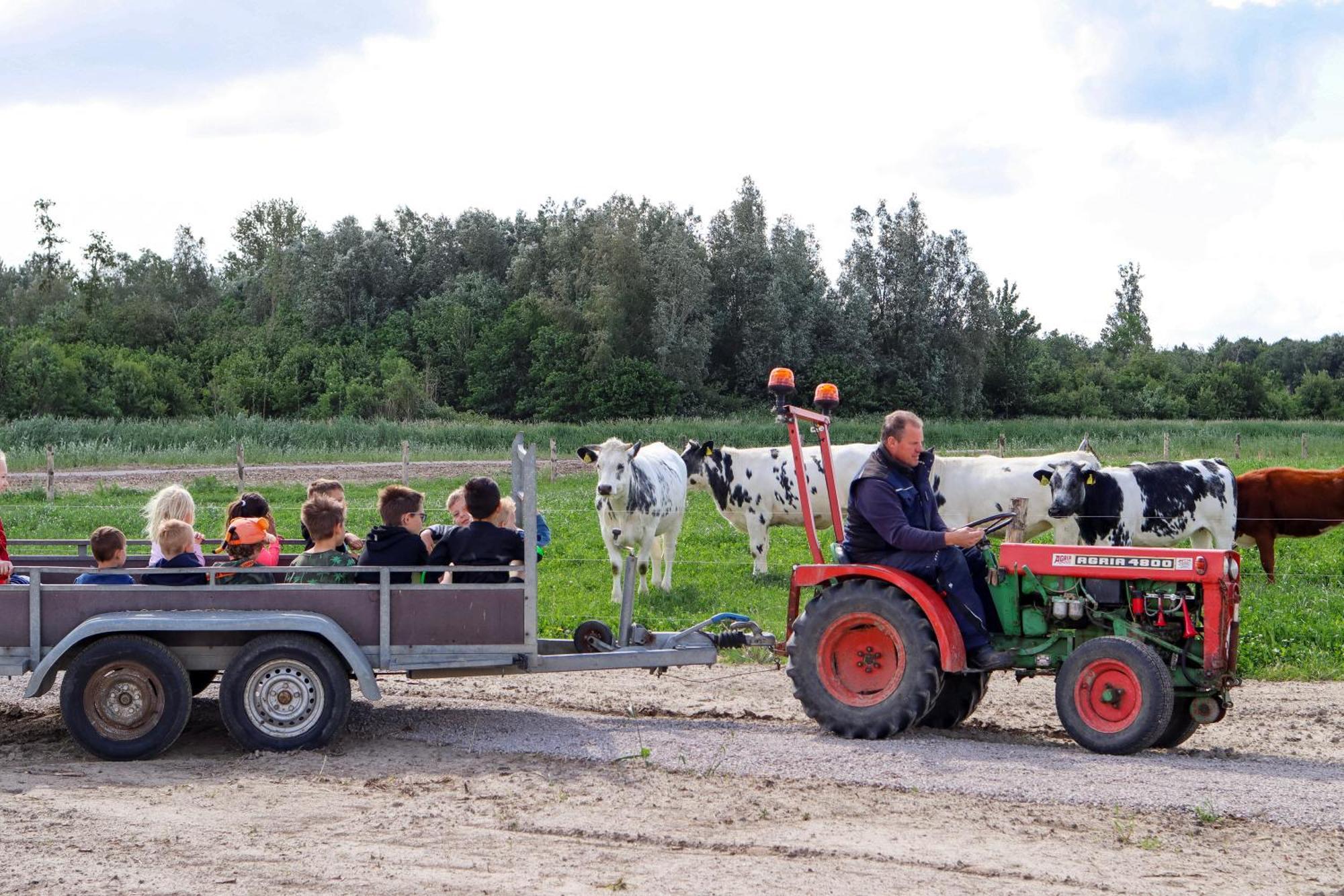 Boerderijcamping De Hinde Dronten Exterior photo